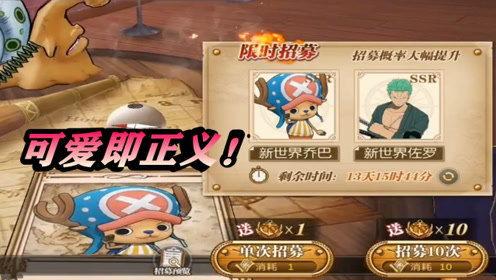 雾夏菌的最新爆料